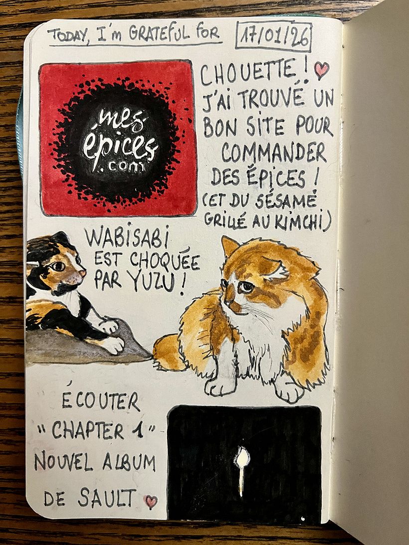 Carnet de gratitude : January 2026 sketchbook 1