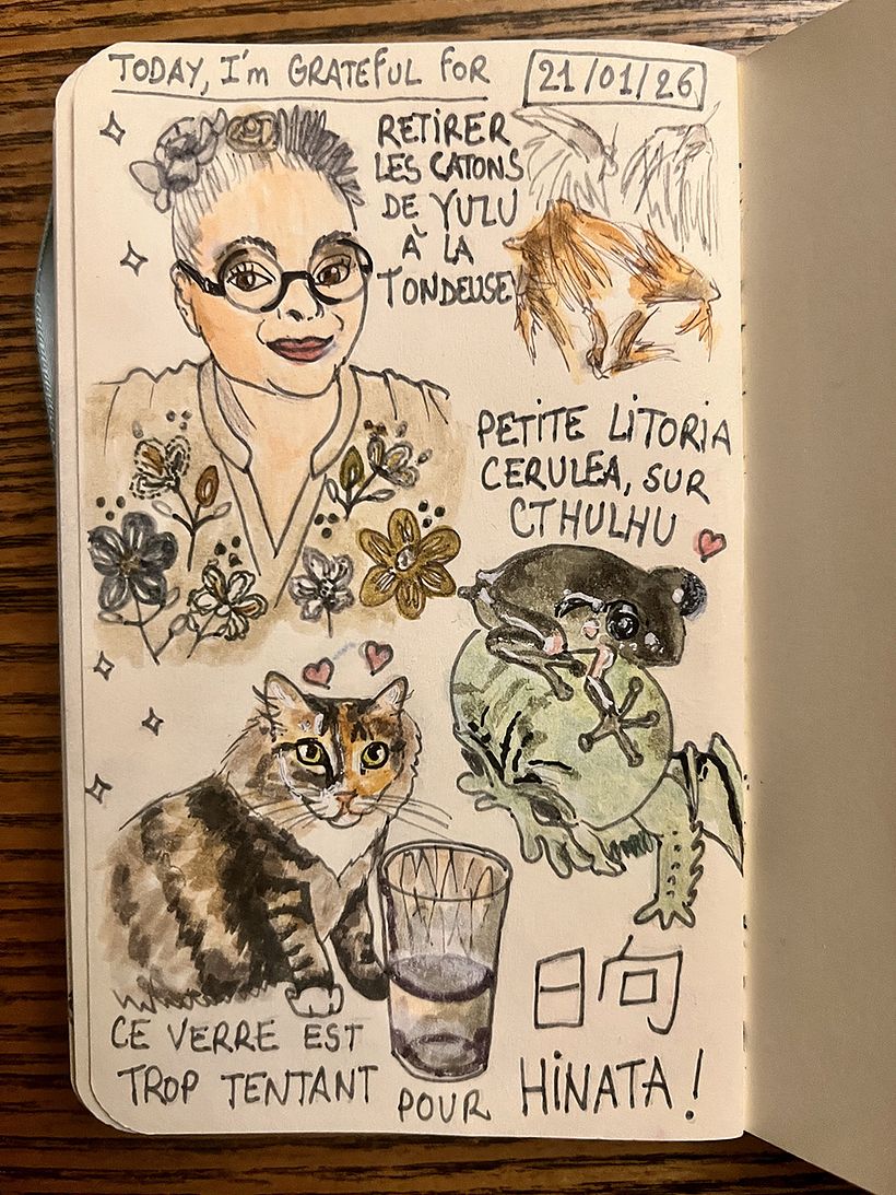 Carnet de gratitude : January 2026 sketchbook 1