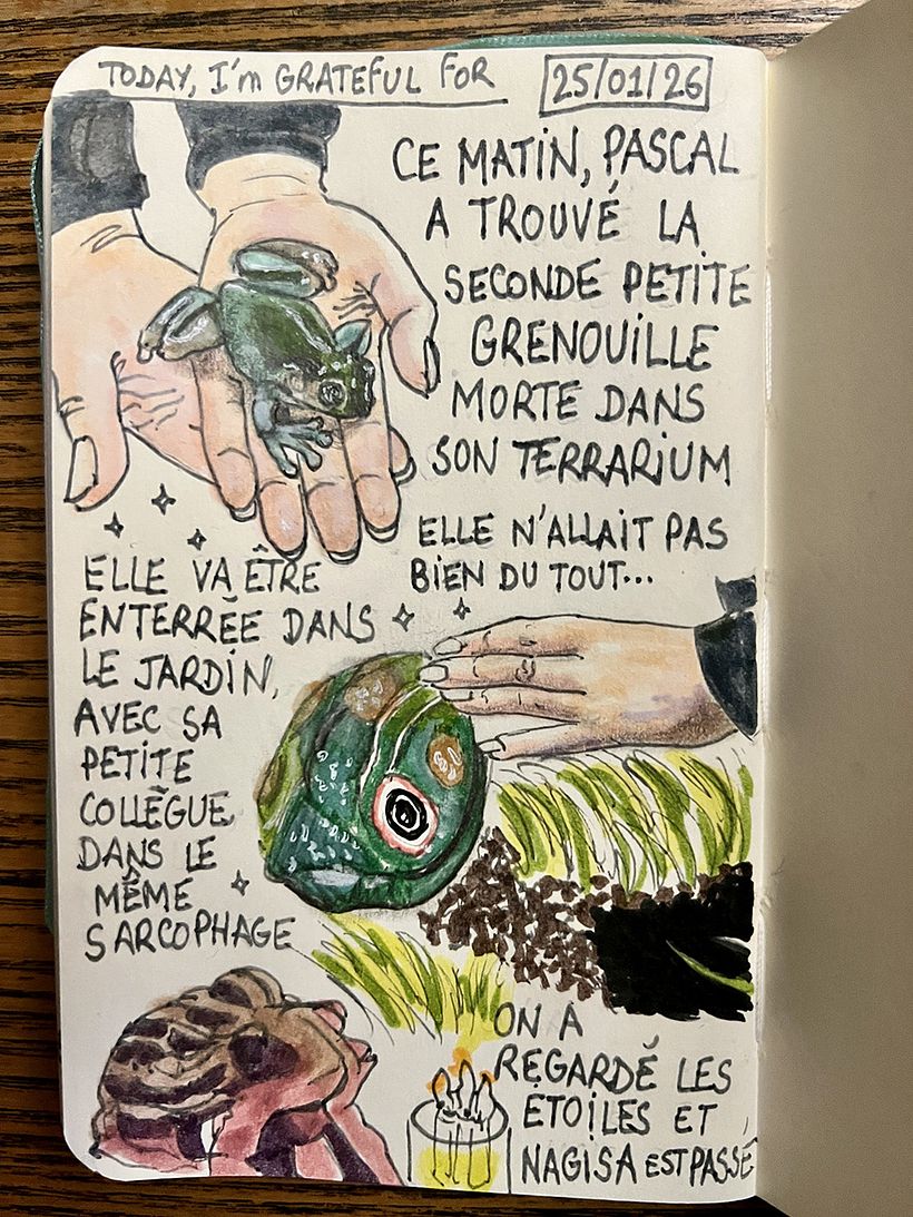 Carnet de gratitude : January 2026 sketchbook 1