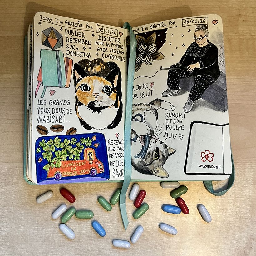 Carnet de gratitude : January 2026 sketchbook 1