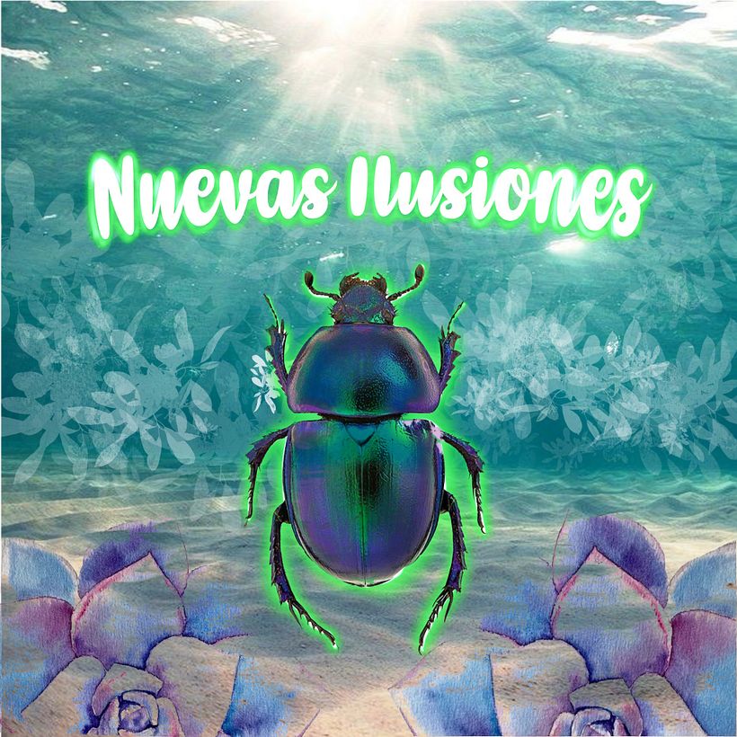 Nuevas Ilusiones 1