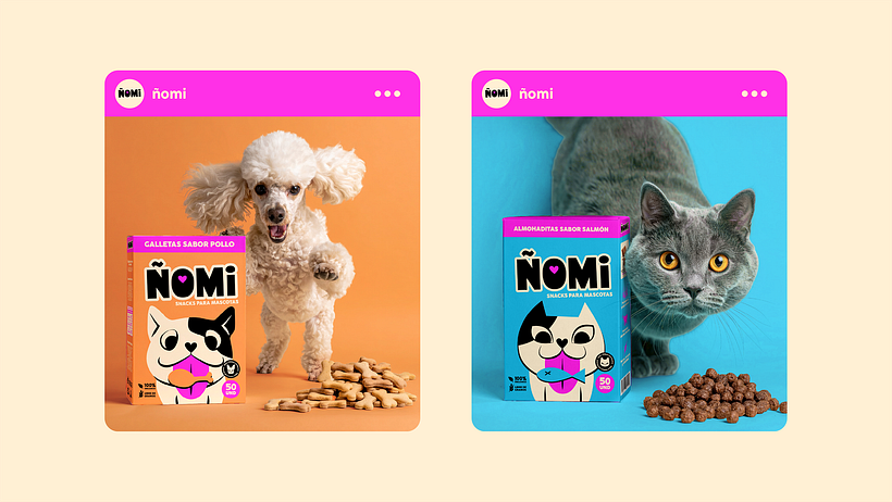 Ñomi | Posts & Stories Animation 4