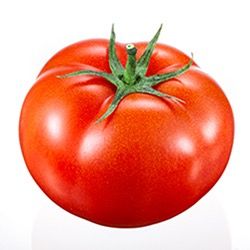 How To Draw A Tomato Using Acrylic Paint Markers 1
