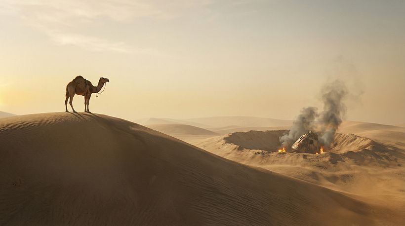 Desenvolvimento das Nações 8