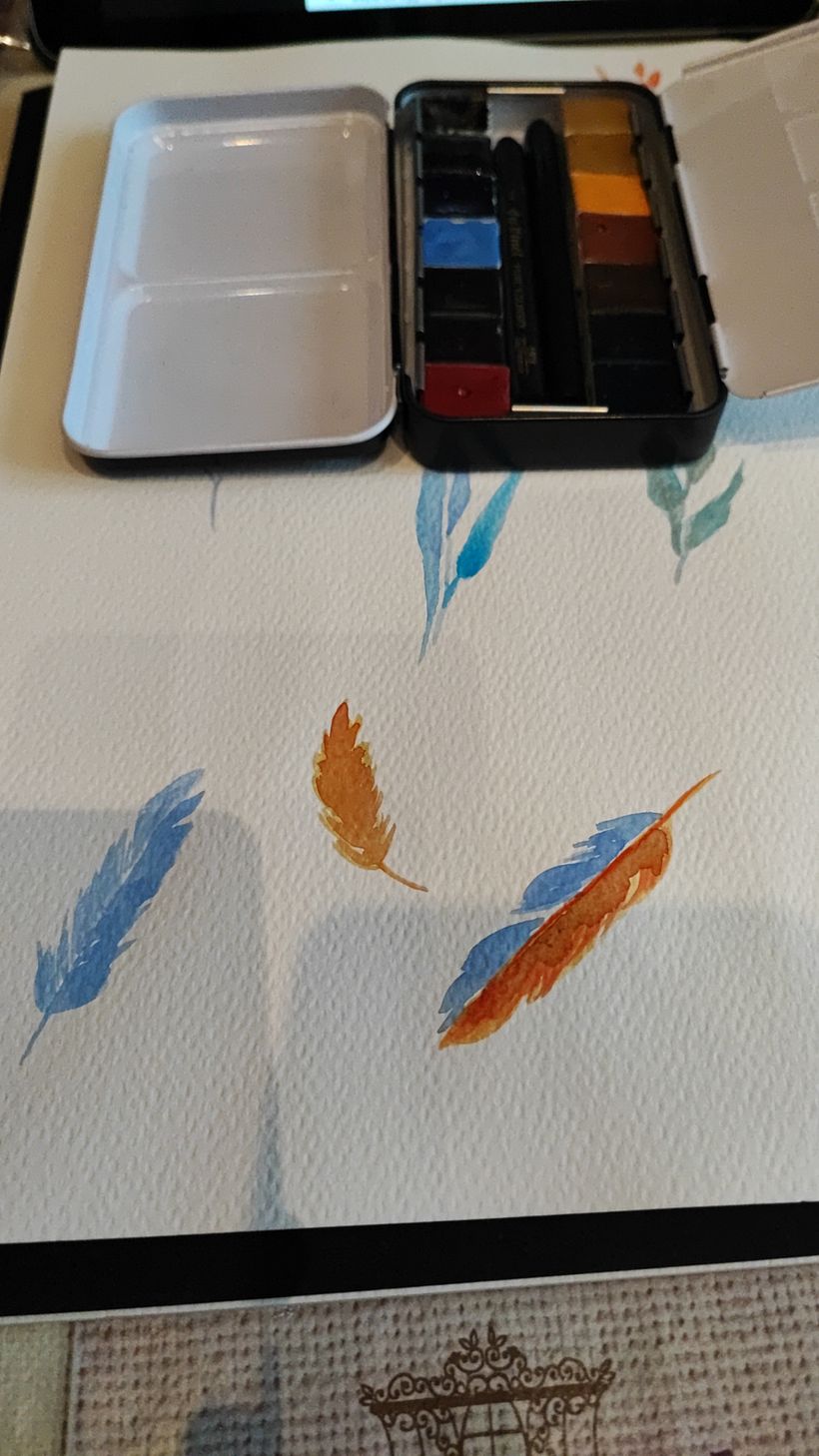 Orange & Blu 1