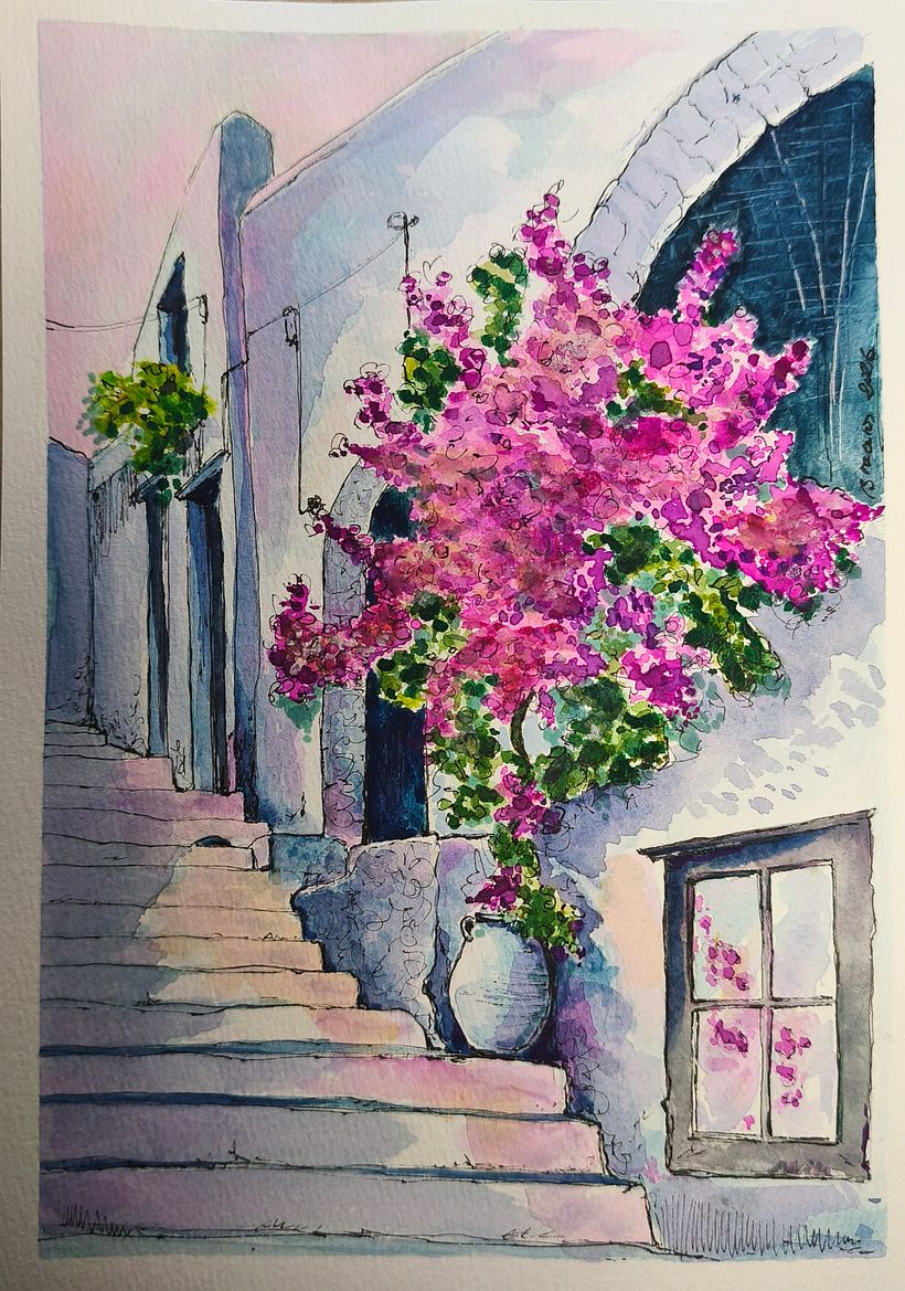La buganvilia 1