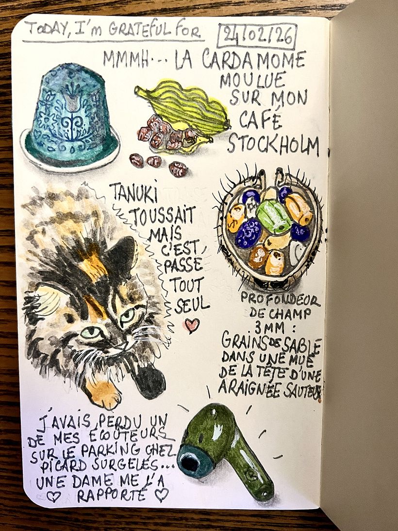 Carnet de gratitude : February 2026 sketchbook 1