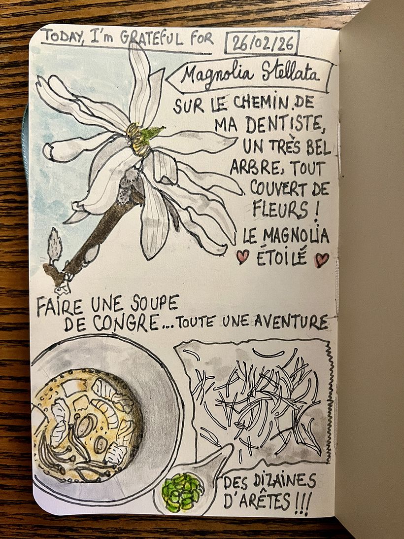 Carnet de gratitude : February 2026 sketchbook 1