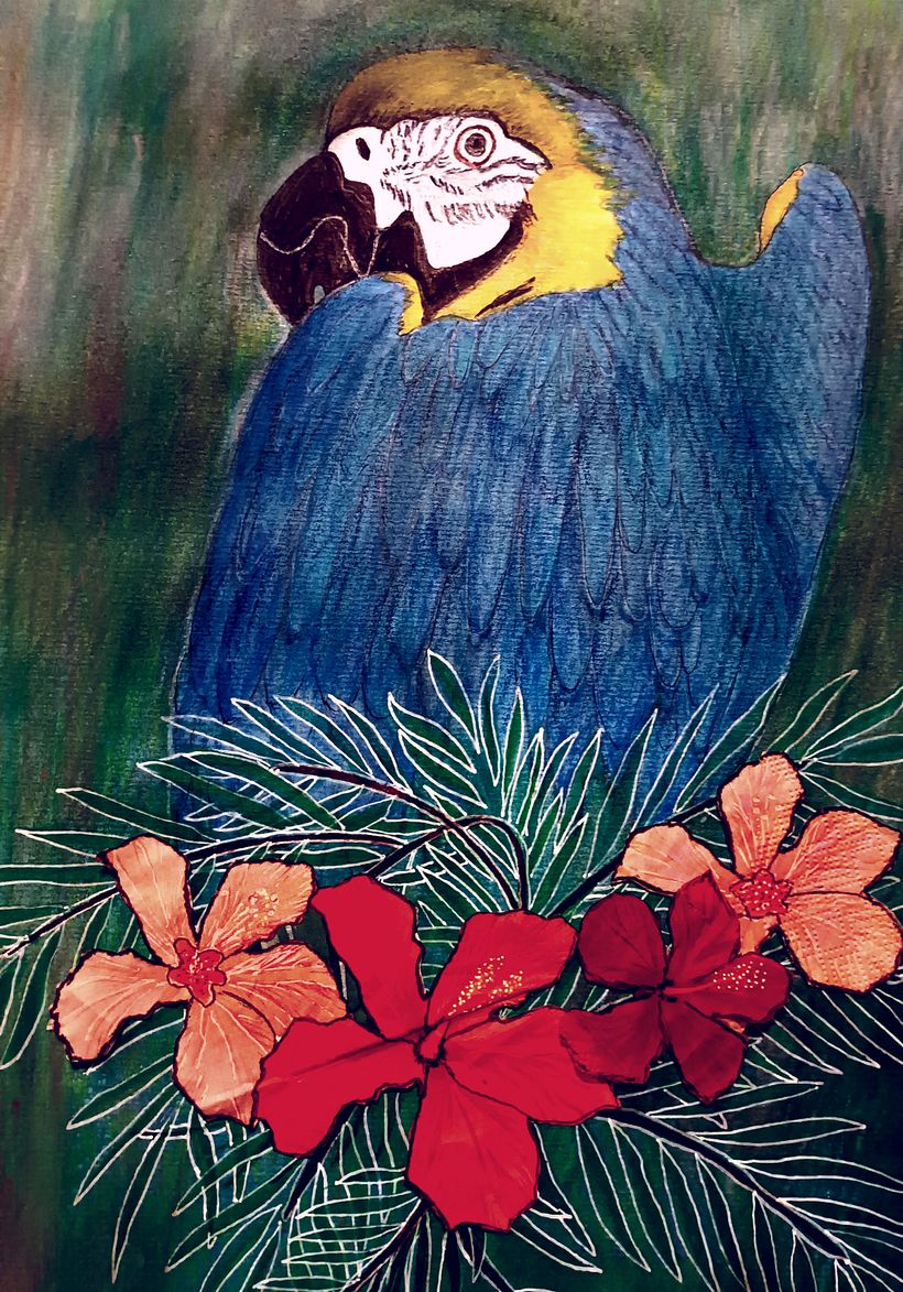 Down by Moreton Bay 1