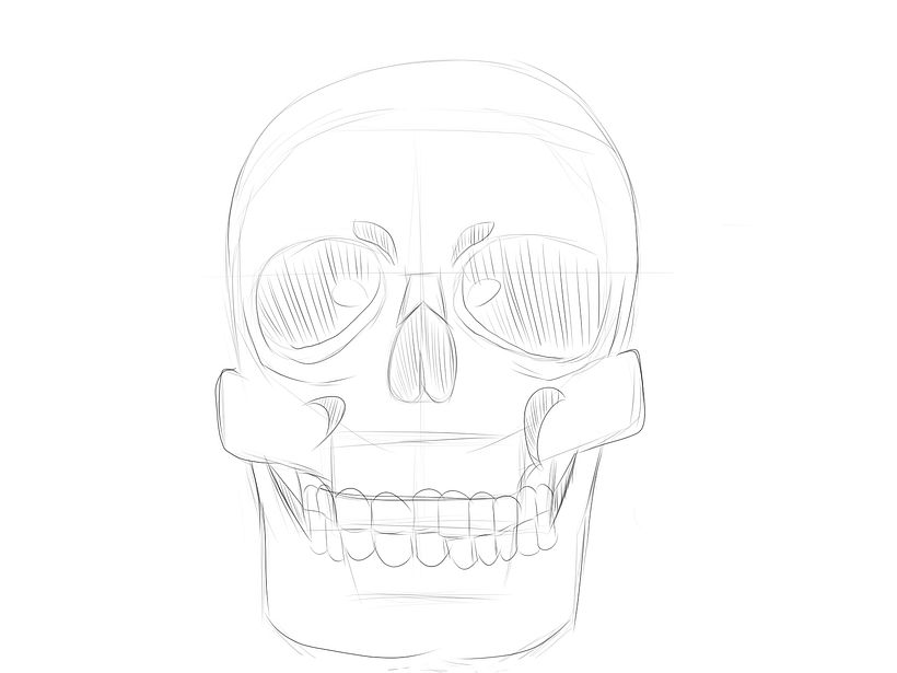 skull anatomy and persepctive 1