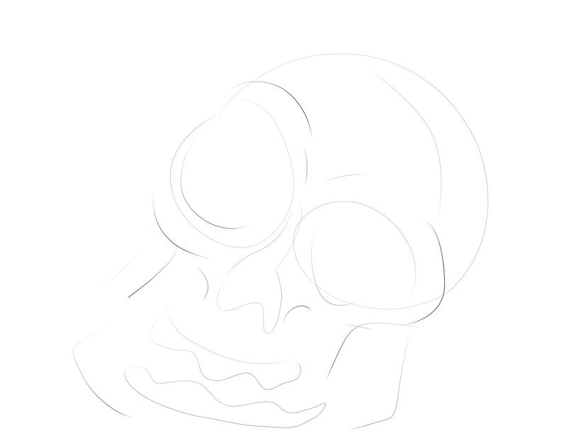 skull anatomy and persepctive 1