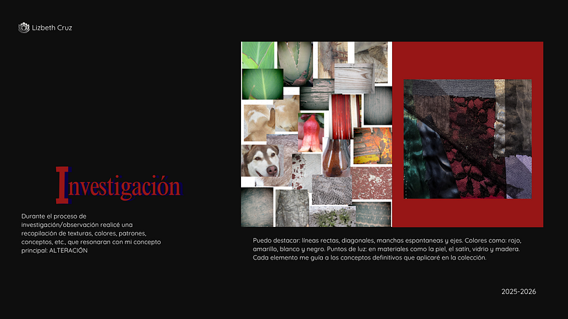 ALTERACIÓN - COLECCIÓN CAPSULA 1