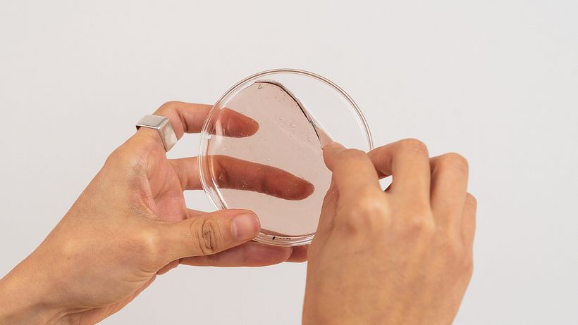 Creativity live: explore, experiment and transform your ideas 1