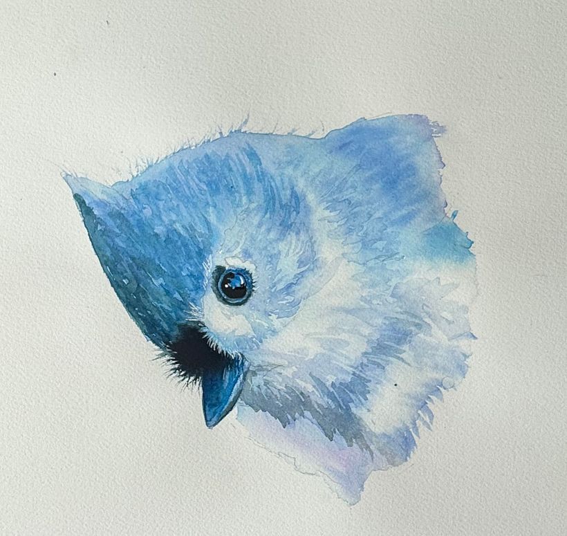 Expressive watercolour painting of a tufted titmouse  2
