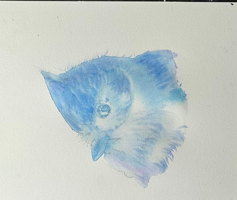 Expressive watercolour painting of a tufted titmouse  3