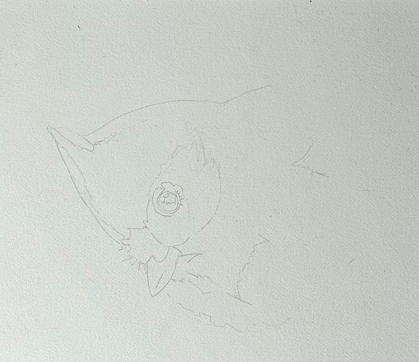 Expressive watercolour painting of a tufted titmouse  4
