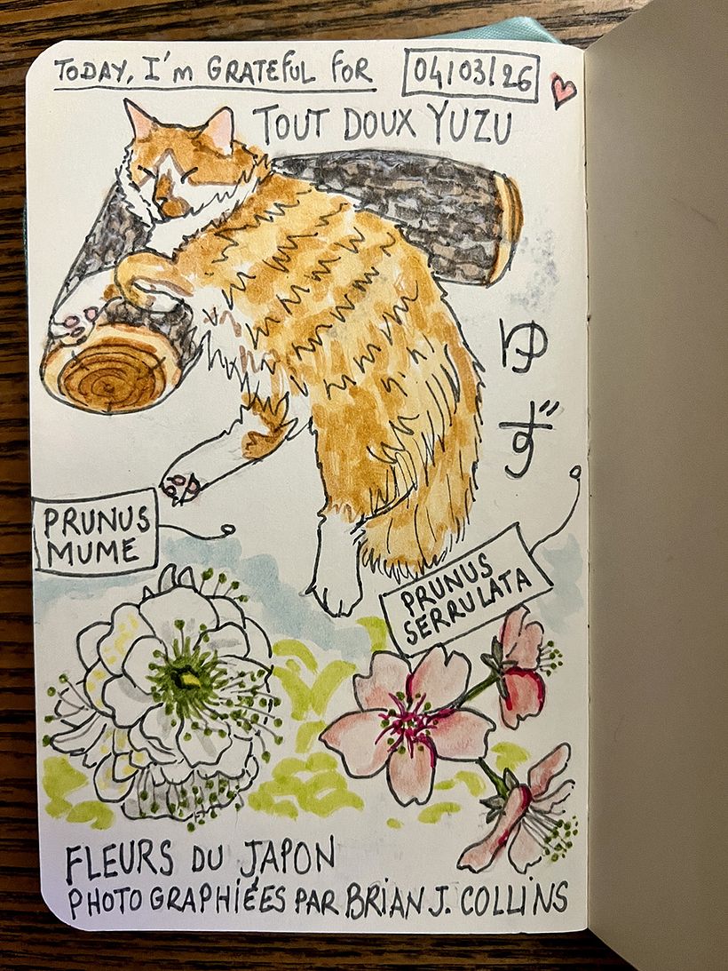 Carnet de gratitude : March 2026 sketchbook 1