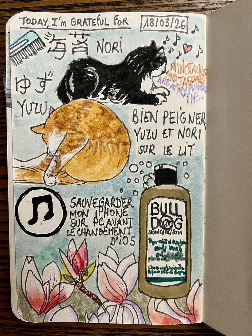 Carnet de gratitude : March 2026 sketchbook 1