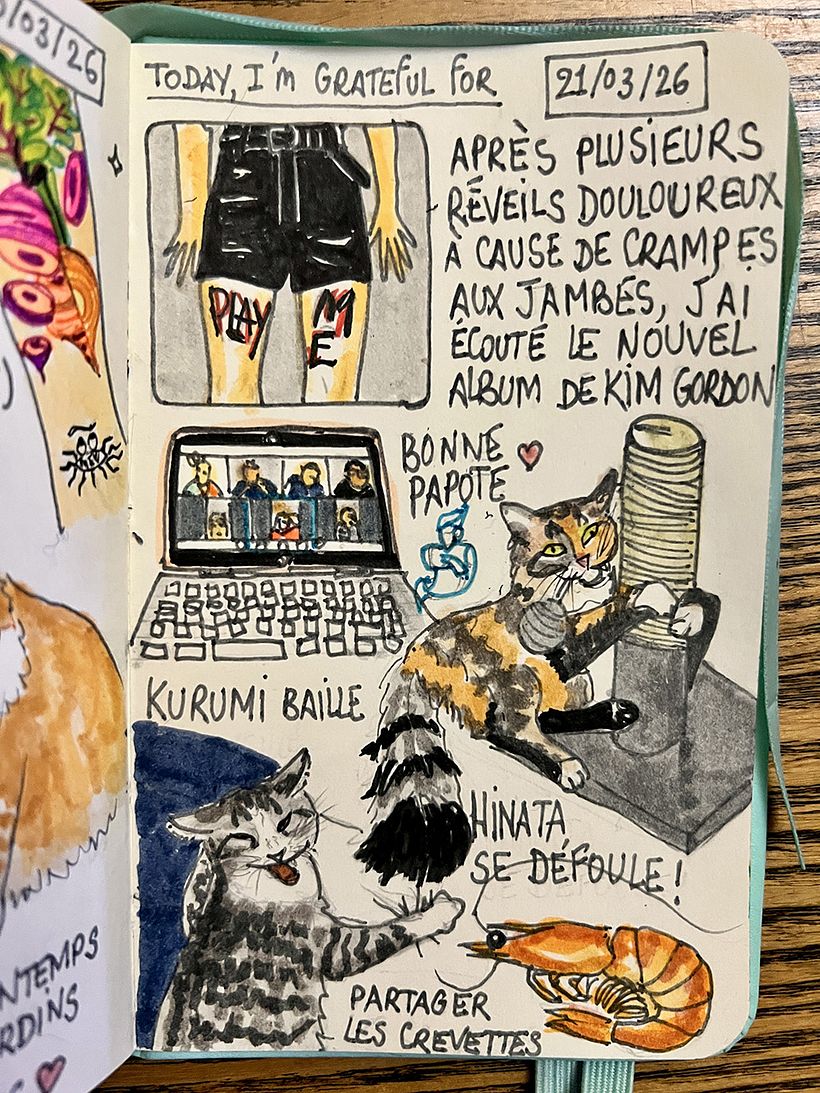 Carnet de gratitude : March 2026 sketchbook 1
