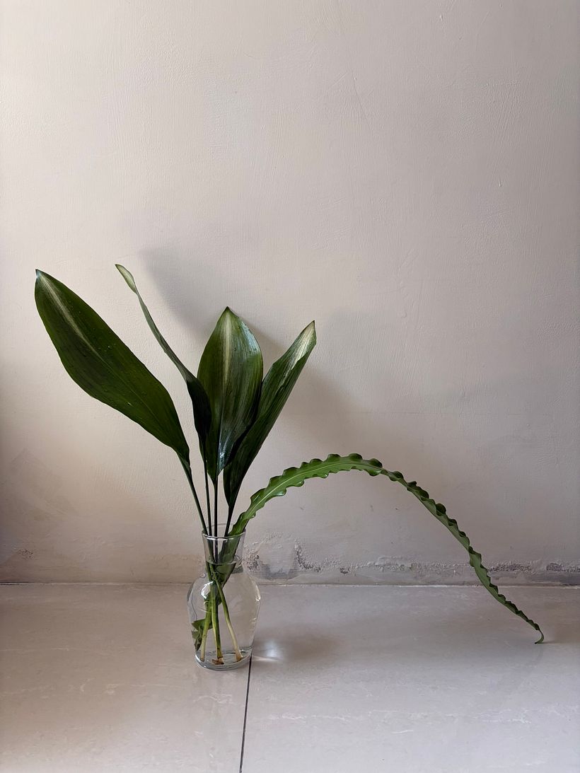 The Brave Cut – A Study in Modern Leaf Manipulation 1