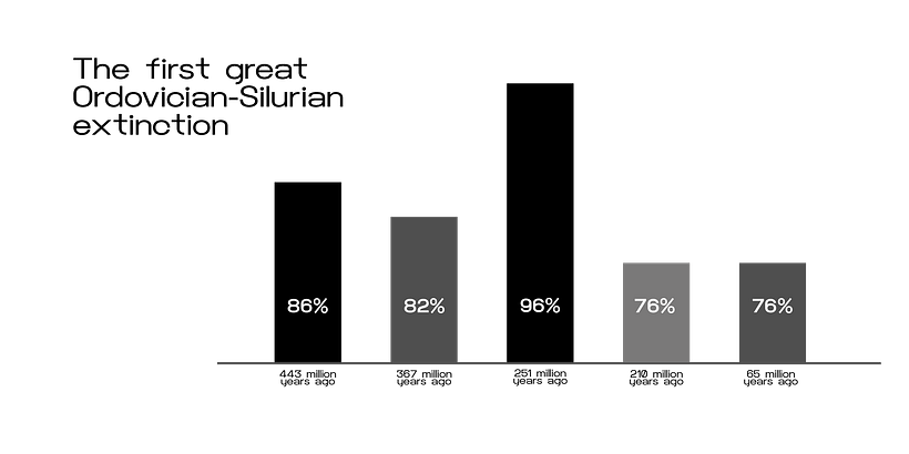 Graphic Visualization 1