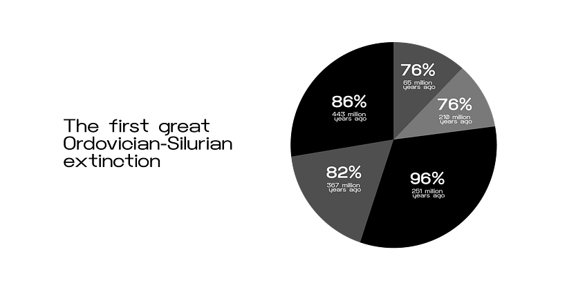 Graphic Visualization 2