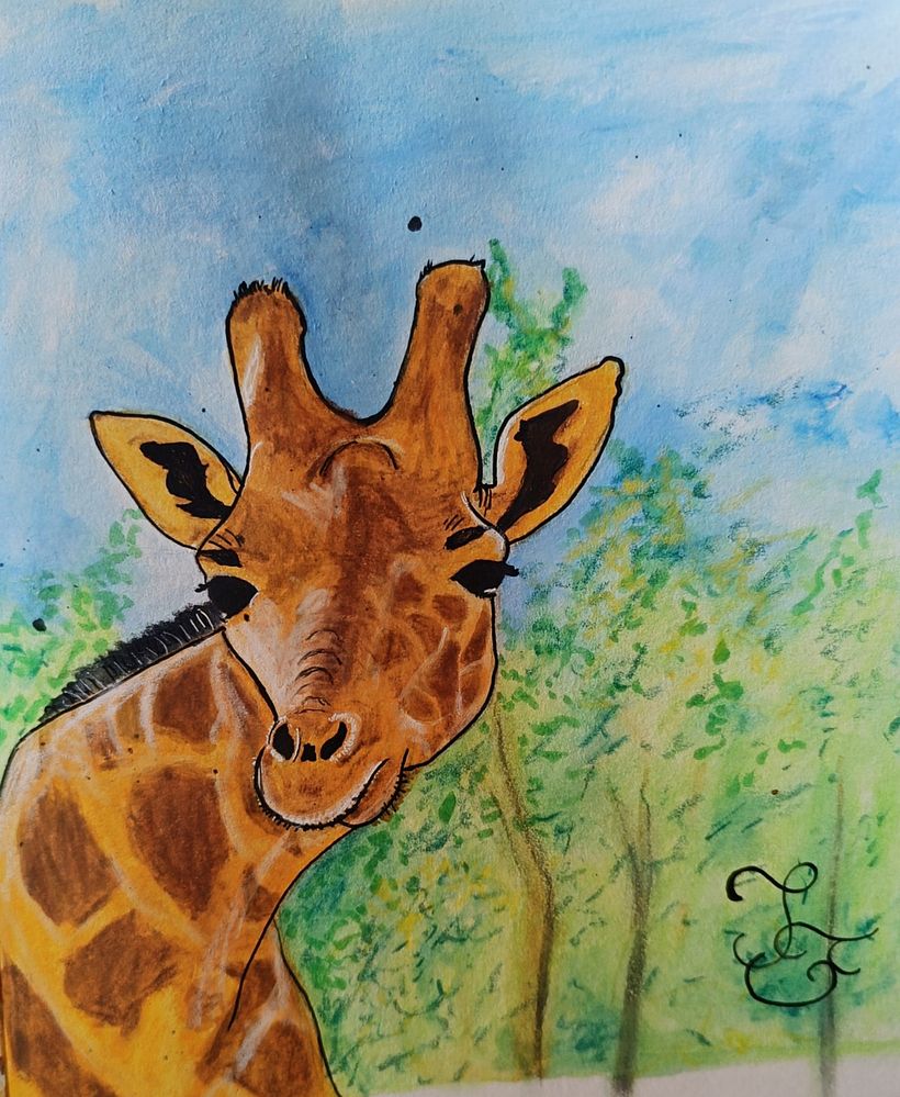 Retour à ma passion 1