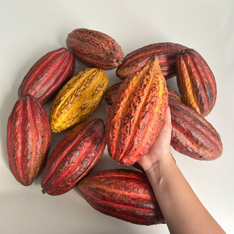 Bombones Colombia  1