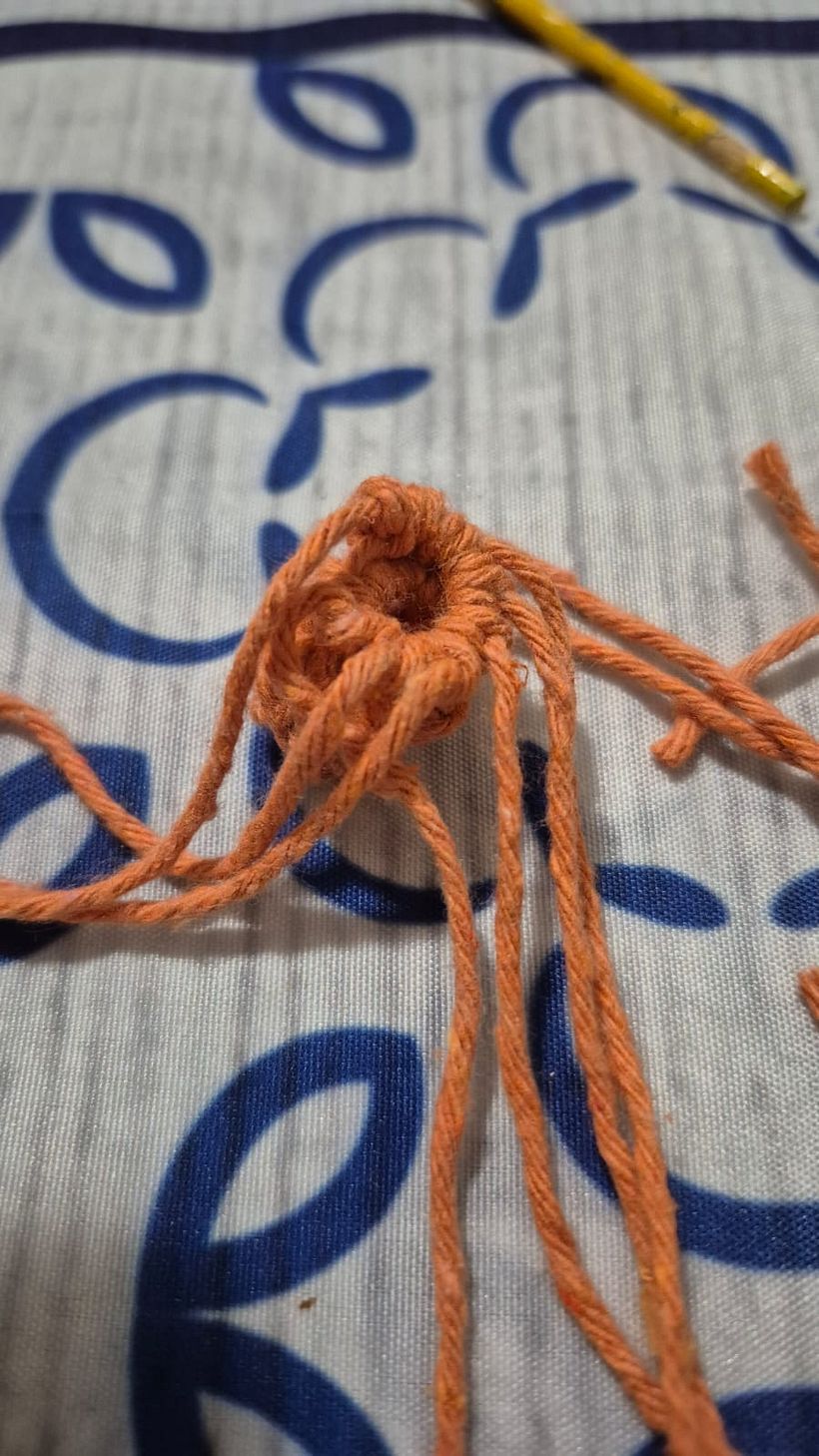 Tapeçaria 3D em Macaramê 1