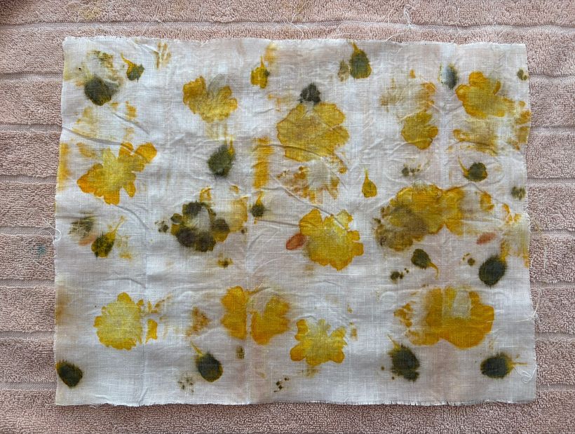 Marigold Eco Prints on Linen 2