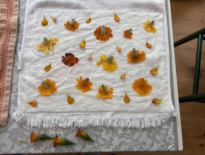Marigold Eco Prints on Linen 3