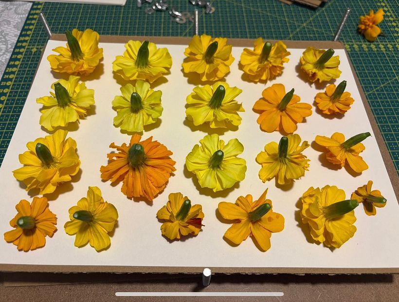 Marigold Eco Prints on Linen 1
