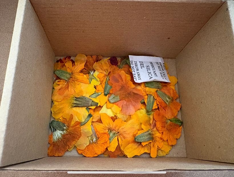 Marigold Eco Prints on Linen 2