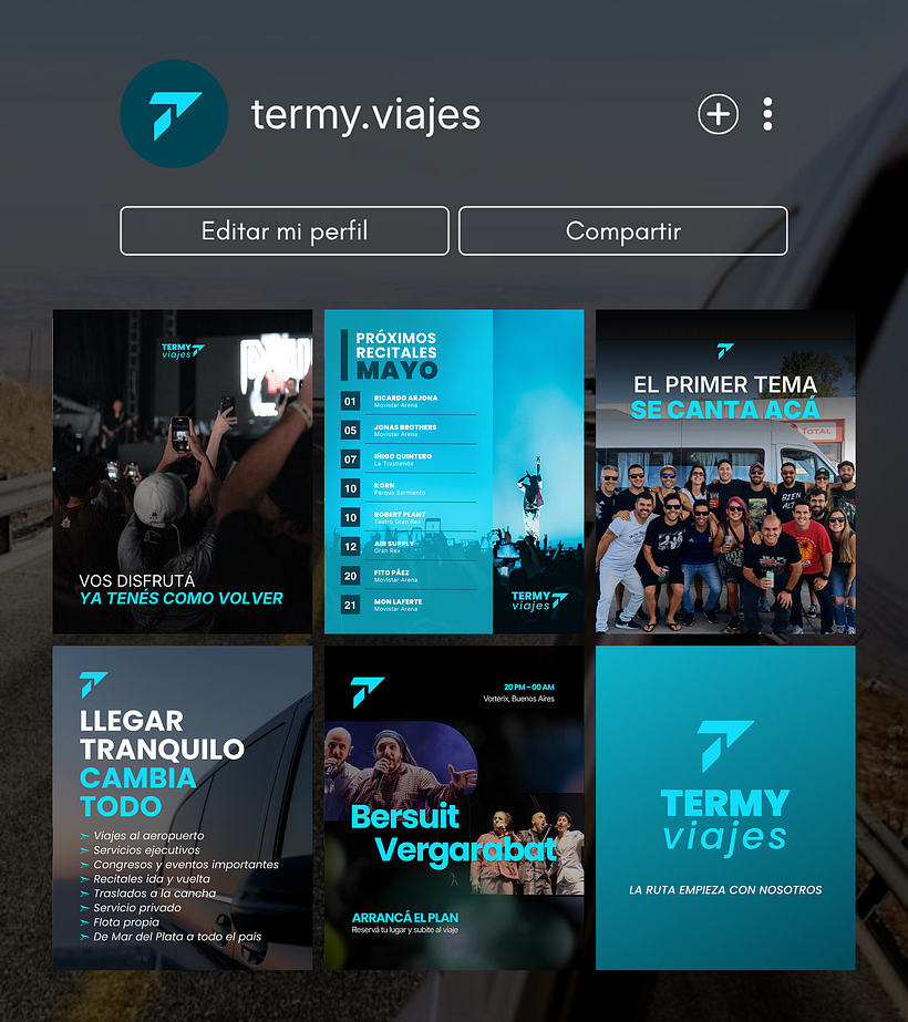 Termy Viajes — Identidad Visual 7