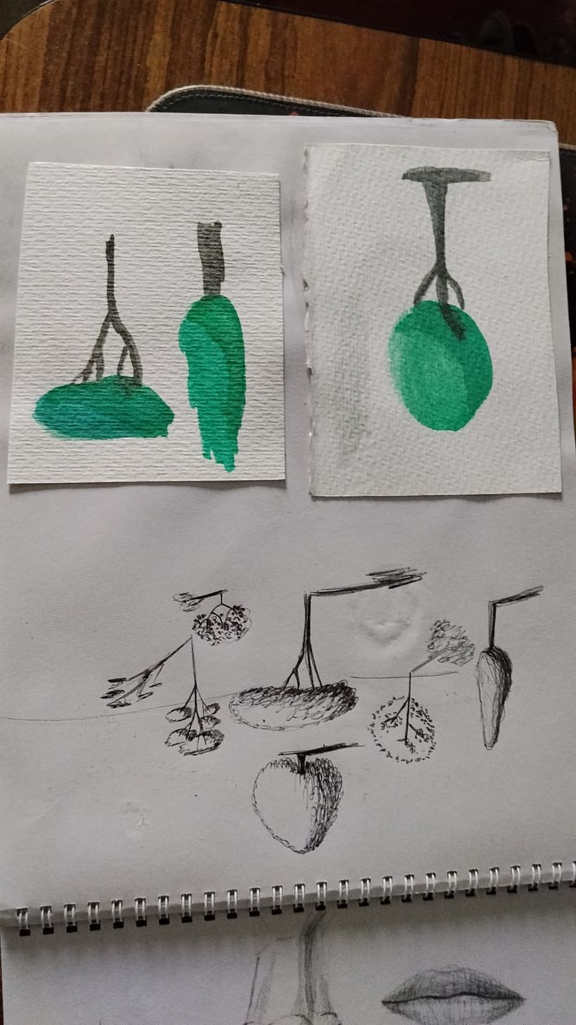 MI cuaderno 5