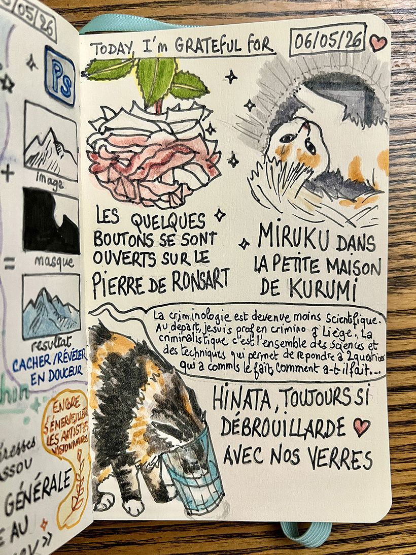 Carnet de gratitude : May 2026 sketchbook 1