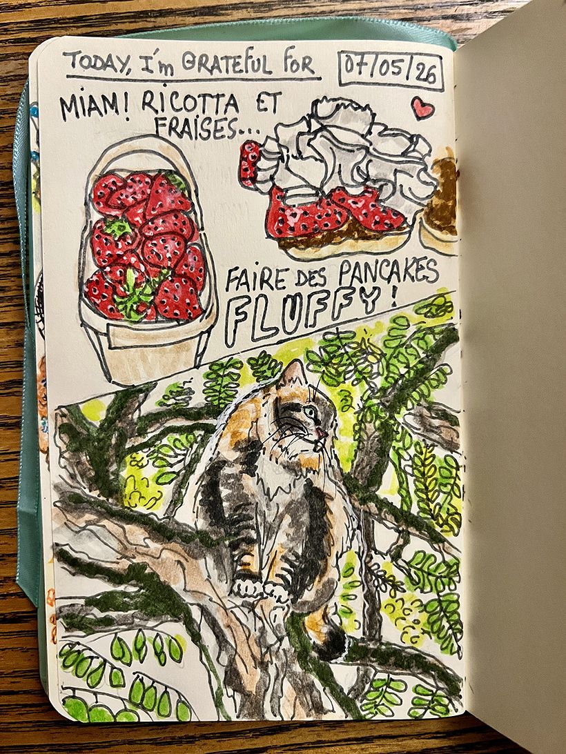 Carnet de gratitude : May 2026 sketchbook 1