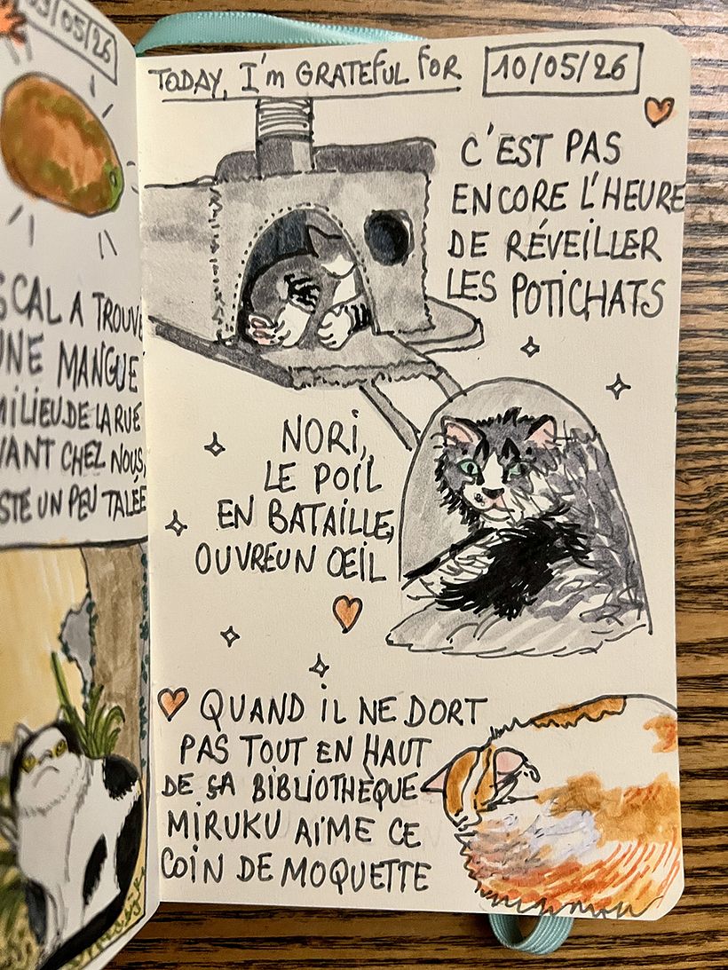 Carnet de gratitude : May 2026 sketchbook 1