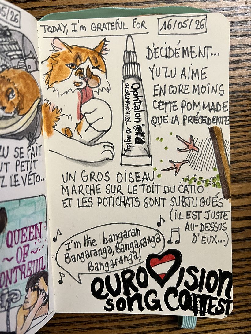 Carnet de gratitude : May 2026 sketchbook 1