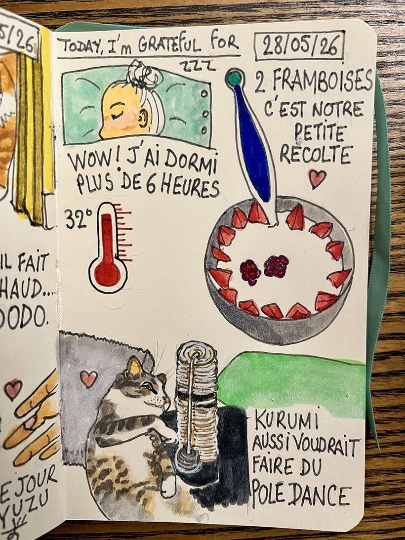 Carnet de gratitude : May 2026 sketchbook 1