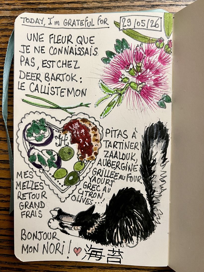 Carnet de gratitude : May 2026 sketchbook 1