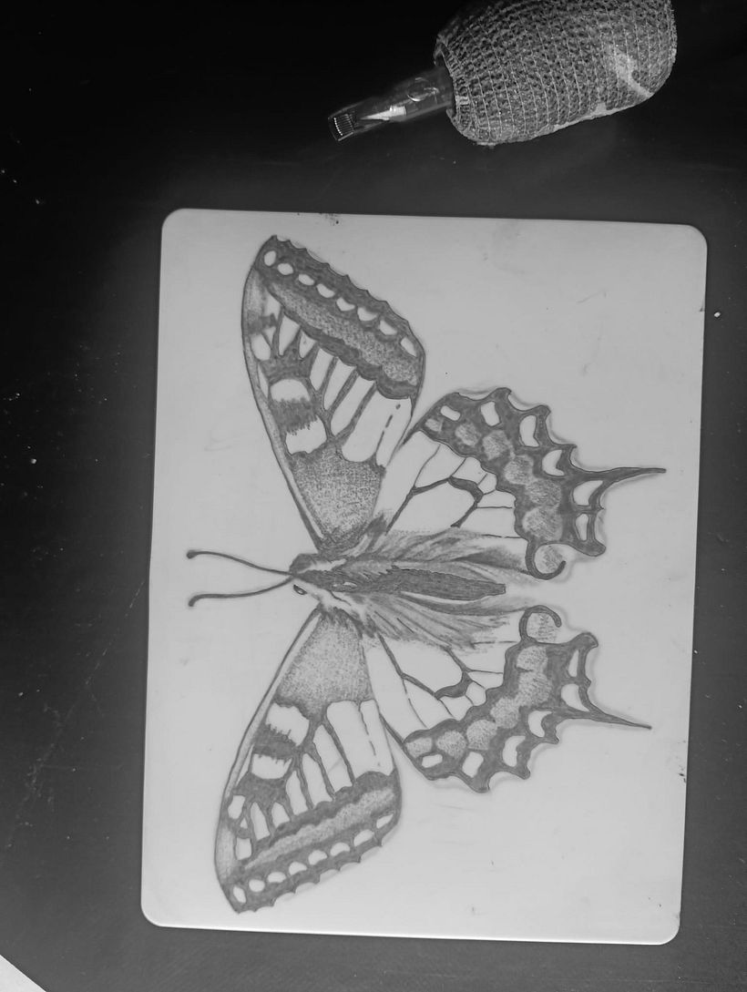 Tatuaje mariposa 1
