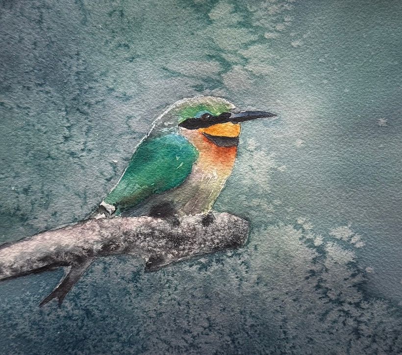 FREE Bee-Eater Project: Create Stunning Salt Effects in Watercolour 1