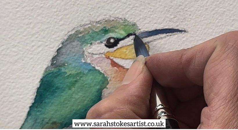 FREE Bee-Eater Project: Create Stunning Salt Effects in Watercolour 1