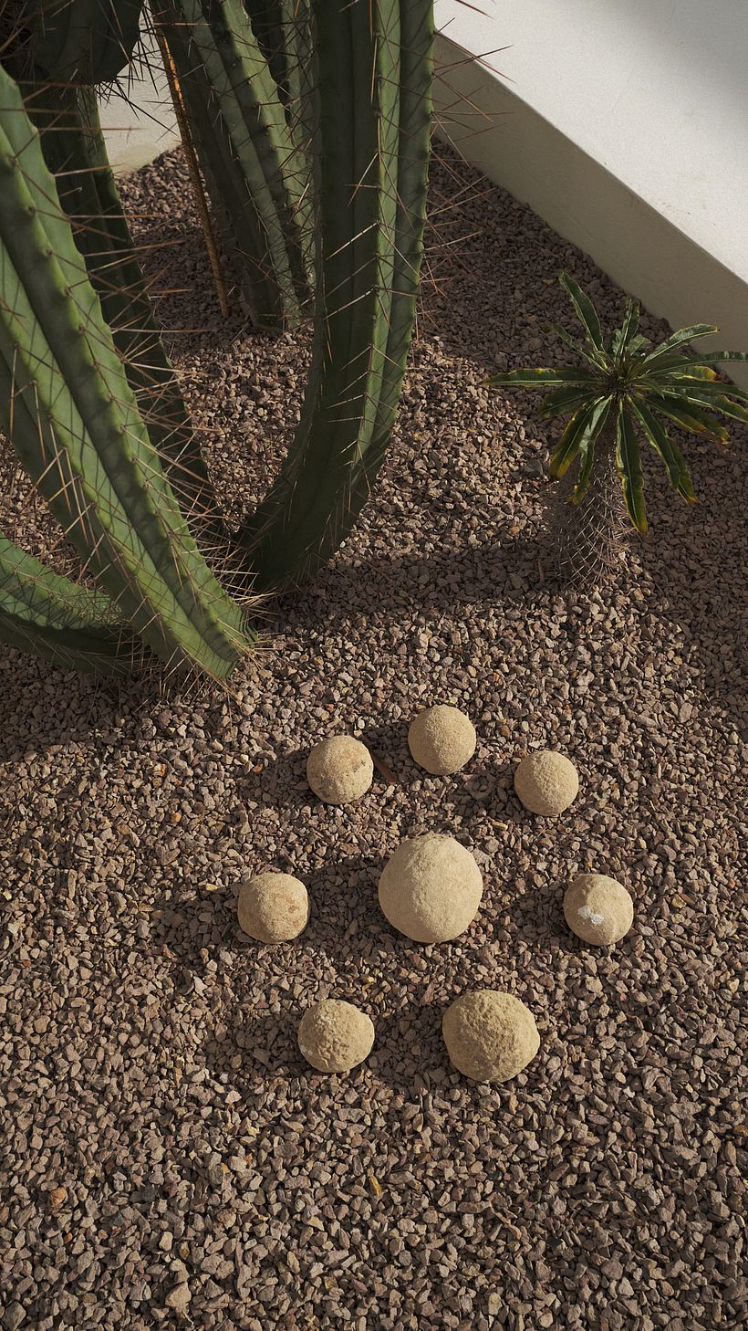 Casa Montelongo: What Escapes the Eye 4