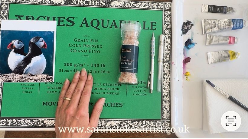 Paint Two Puffins in Watercolour: 4 Colours, 1 Brush and Salty Rock Effects 1