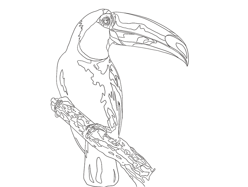 Tucano-toco em pintura de agulha 2