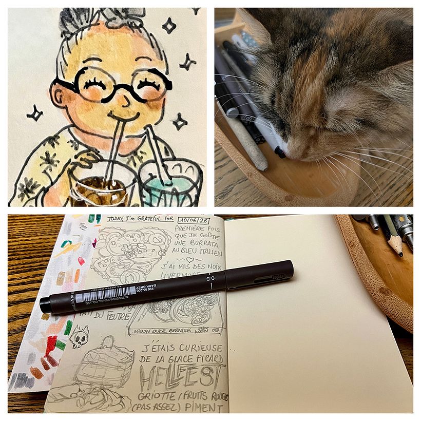 Carnet de gratitude : June 2026 sketchbook 1