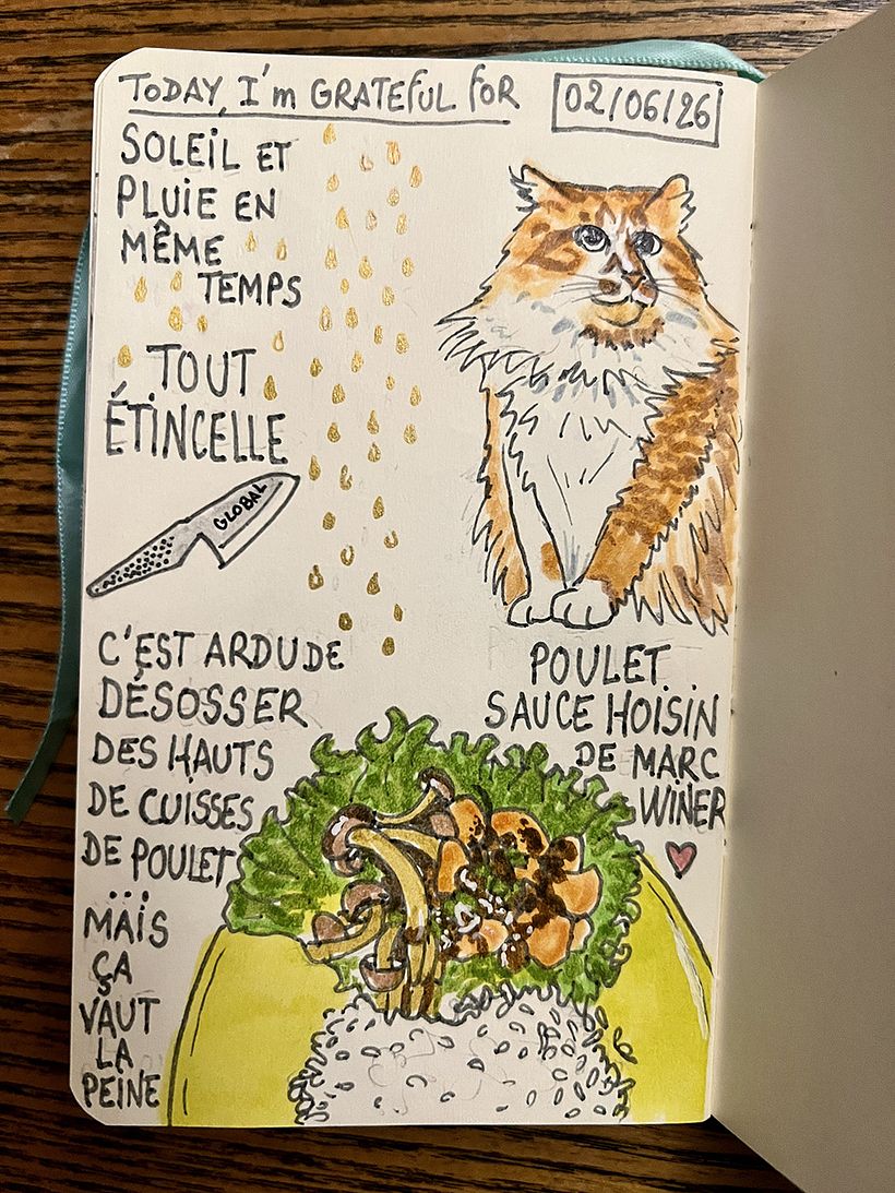 Carnet de gratitude : June 2026 sketchbook 1