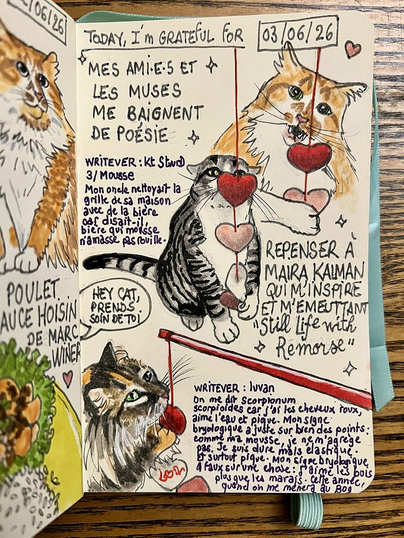 Carnet de gratitude : June 2026 sketchbook 1